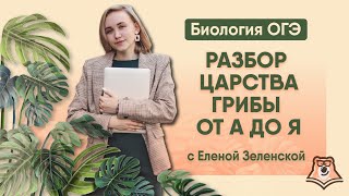 РАЗБОР ЦАРСТВА ГРИБЫ ОТ А ДО Я РАЗБОР ЦАРСТВА ГРИБЫ ОТ А ДО Я
