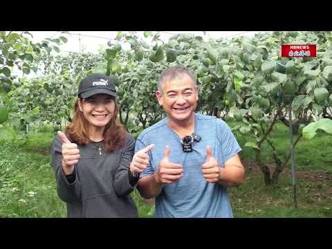 台南/蜜棗/芒果/青農/溫噹噹果園/農委會/產銷履歷/過年/採棗樂/寶光聖堂