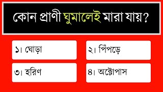 সাধারণ জ্ঞান প্রশ্ন ও উত্তর | General Knowledge Question And Answers | Bangla Quiz | Ep-12 | Gk screenshot 3