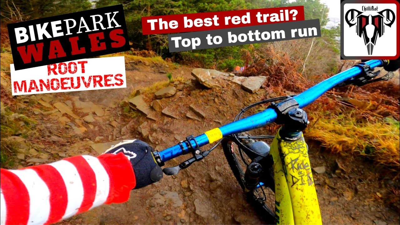 BikePark Wales | Root Manoeuvres | The Best Red Trail