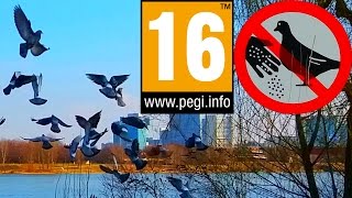 8 minutes of "City Bird Pigeon Simulator 3D" (PlayMechanics) | Android Games screenshot 5