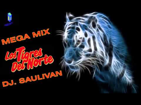 TIGRES DEL NORTE MIX DJ SAULIVAN YouTubevia Torchbrowser Com 1 1