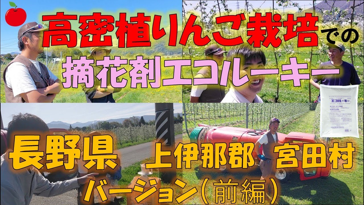 高密植りんご栽培での摘花剤【エコルーキー】長野県上伊那郡宮田村バージョン（前編）