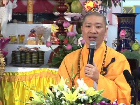 Video Hoa Trắng Rừng Sala - youtube