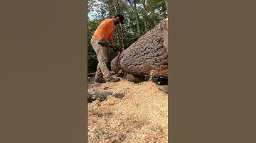 Log Too Heavy For The Kubota L2501 #Shorts