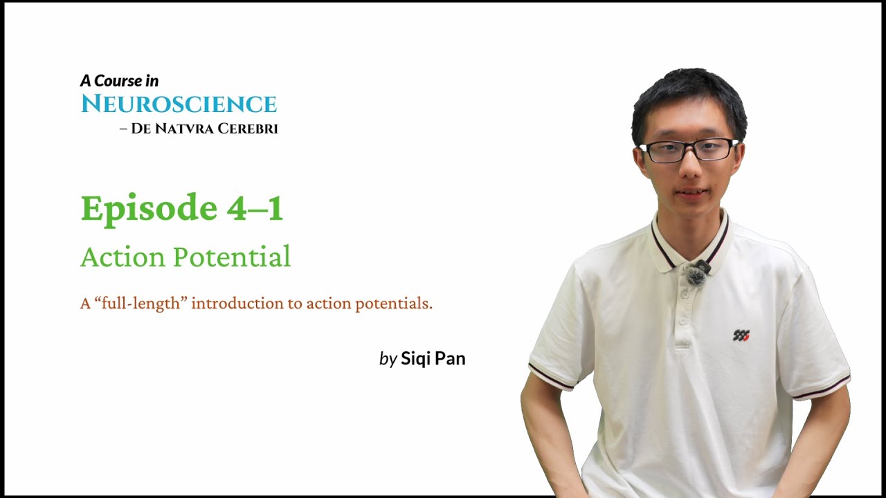 Neuroscience Course - EP4-1 Action Potential