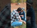 Il PROBLEMA dell'ARGILLA nell'orto #shorts #mattthefarmer #argilla