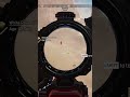 INSANE SHOT!!!!!!!!! #apex #apexlegends #apexlegendsclips #ccg #apexsentinel #sentinel
