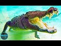Top 10 Strongest Sea Animals On Earth