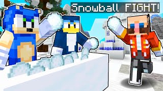 Team Sonic VS Eggman SNOWBALL FIGHT❄️⛄Minecraft Sonic The Hedgehog 3 [175]