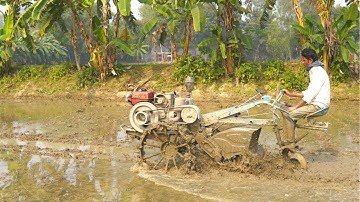 Paddy rice field Plowing with aci power tiller machine | Power tiller machine video |