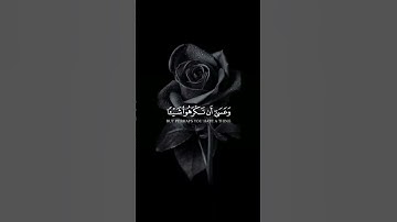 القرآن الكريم | وعسي ان تكرهوا شيئا وهو خير لكم | تلاوة هادئة للقارئ الشيخ : مشاري العفاسي