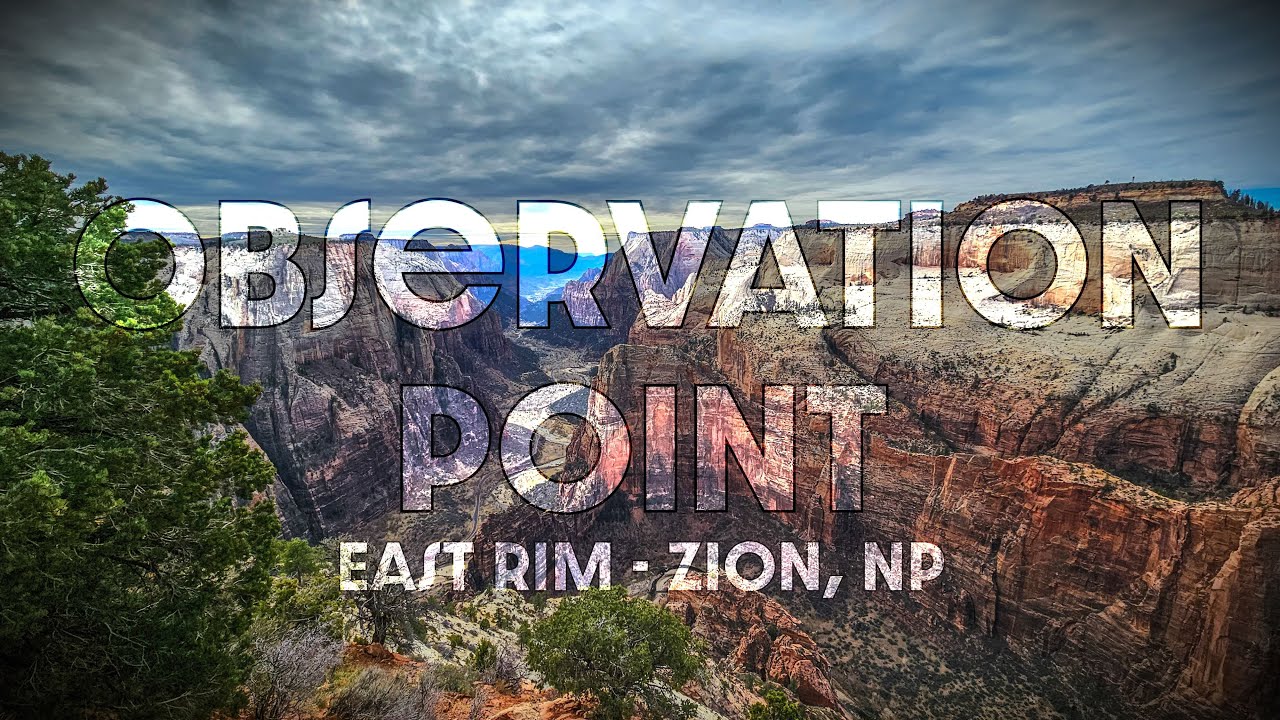 Stave Spring to Observation Point: An East Rim Zion Adventure with Unbeatable Zion Views 🌄