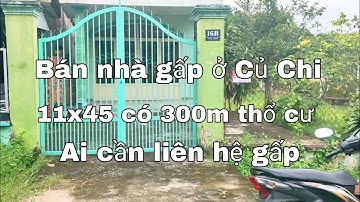 Nhà đất củ chi | giá rẻ | giới thiệu | Lô đất 11x45 có 300m thổ cư mua đất tặng nhà