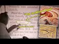 This Man SILENCED All the Atheists in the Room (Bible Decoded)