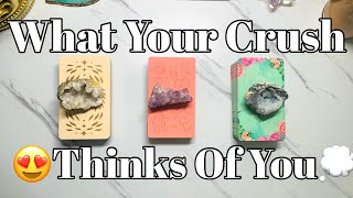 What Your Crush Thinks of You😮‍💨😍💭🤔How They View You Pick a Card Love Tarot Reading🔮