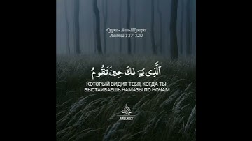 وديع اليمني..سورة الشعراء.. بسم الله..توكلنا على الله...🌸🌿