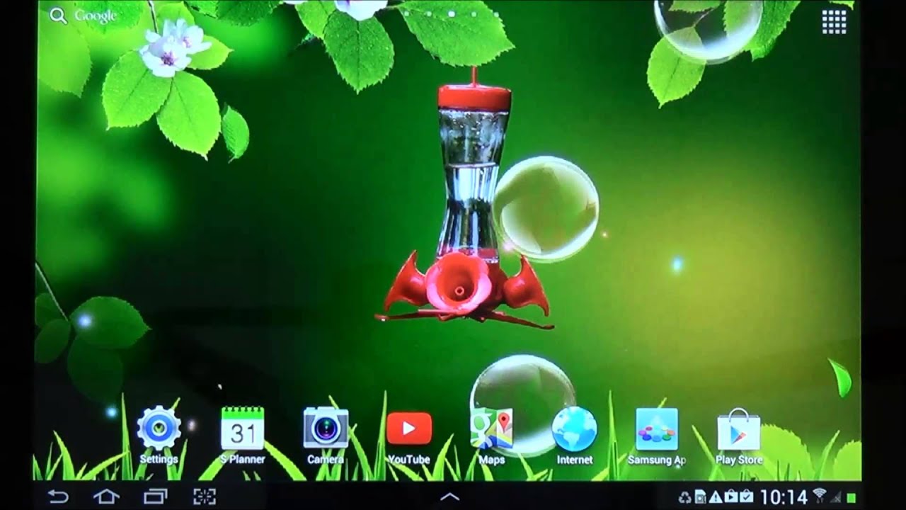 hummingbirds live wallpaper colibri live wallpaper youtube