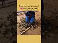 شاهد الفراخ كيف تواسي رجل حزين
