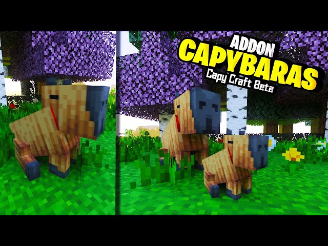 Capybaras Addon (1.20, 1.19) - MCPE/Bedrock Mod 