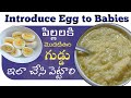 Egg to baby  how to give eggs to baby           8m