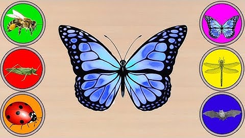 Đây là con gì? - Ong, Bọ ngựa, Cánh Cam, Bướm, Chuồn chuồn, Dơi - What is this animal? - Hami TV