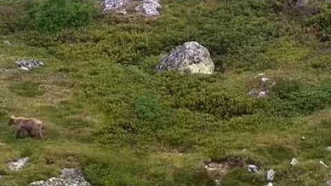 Россия от края до края, Кавказ