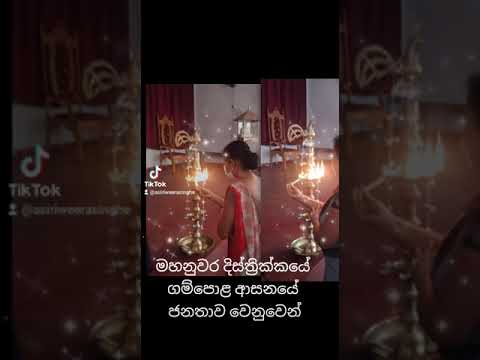 Kandy Optical Eye Clinic