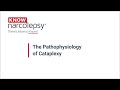 The pathophysiology of cataplexy