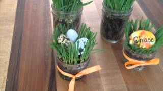 Living Easter basket!