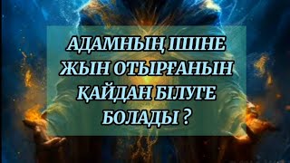 Адамның ішіне жын, шайтан отырғанын қайдан білуге болады ? Жыннан шайтаннан қорғану. Ислами видеолар