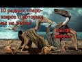 10 редких птерозавров о существовании которых, вы скорее всего не знали!