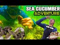 Sea cucumber adventure  super delicious  marinongdj