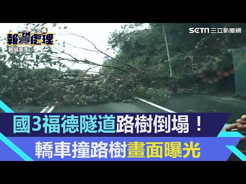 國道3號福德隧道口路樹倒塌！一度回堵7公里　轎車迎面撞路樹畫面曝光｜三立新聞網 SETN.com