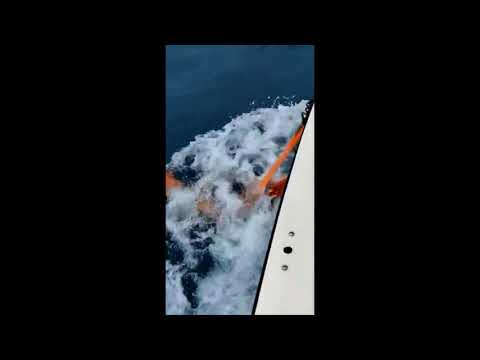 Foilgate TS Imoca