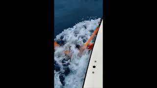 Foilgate TS Imoca