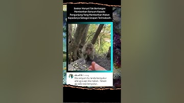 Monyet ini tahu berterima kasih, dapat makanan langsung senyum