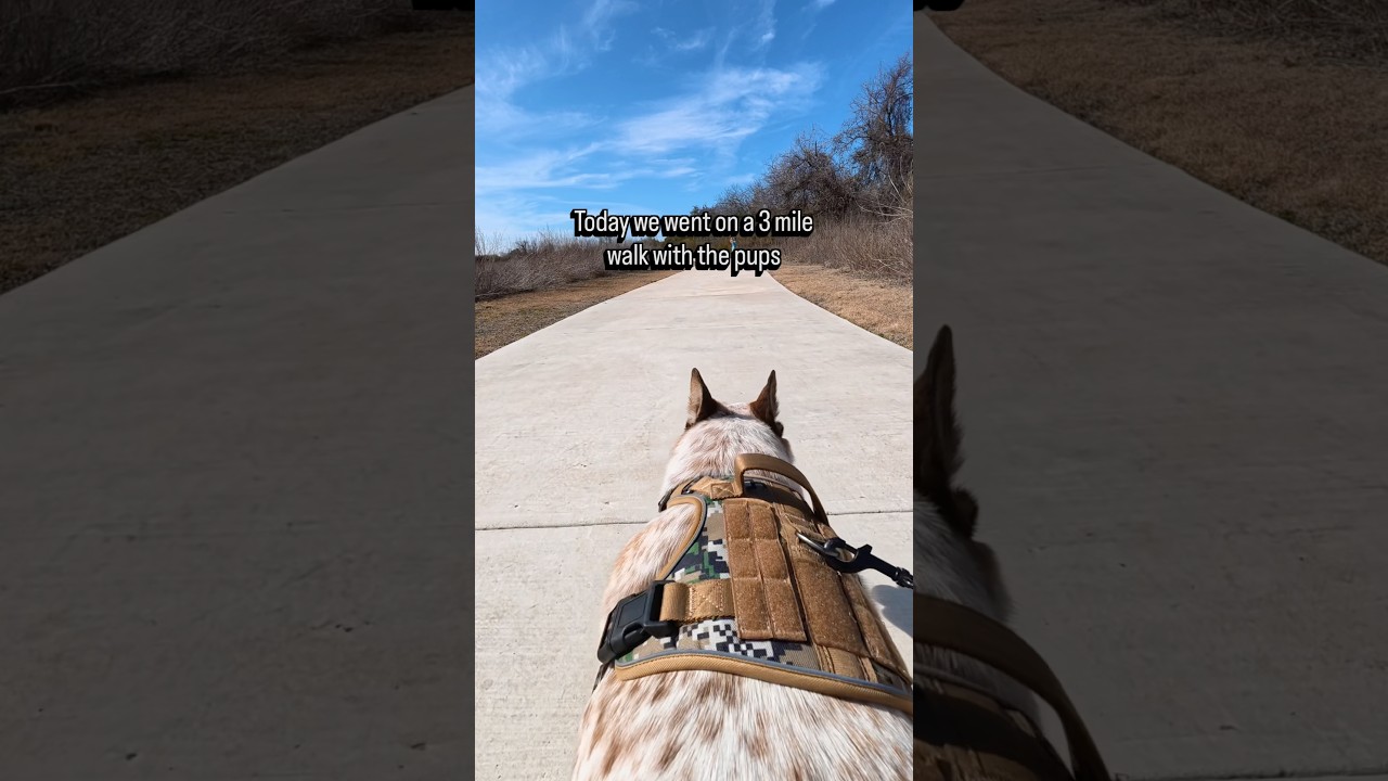 Grateful for each and every one of you! ❤️