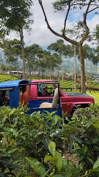 senyum nya bahagia         #jeep #alam #offroad #dieng