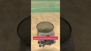How to Make Pure Salt from GRASS! 🤯🧂 #shorts
