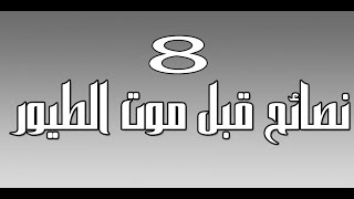 أشياء تغيب عن فكرنا فتقتل طيورنا