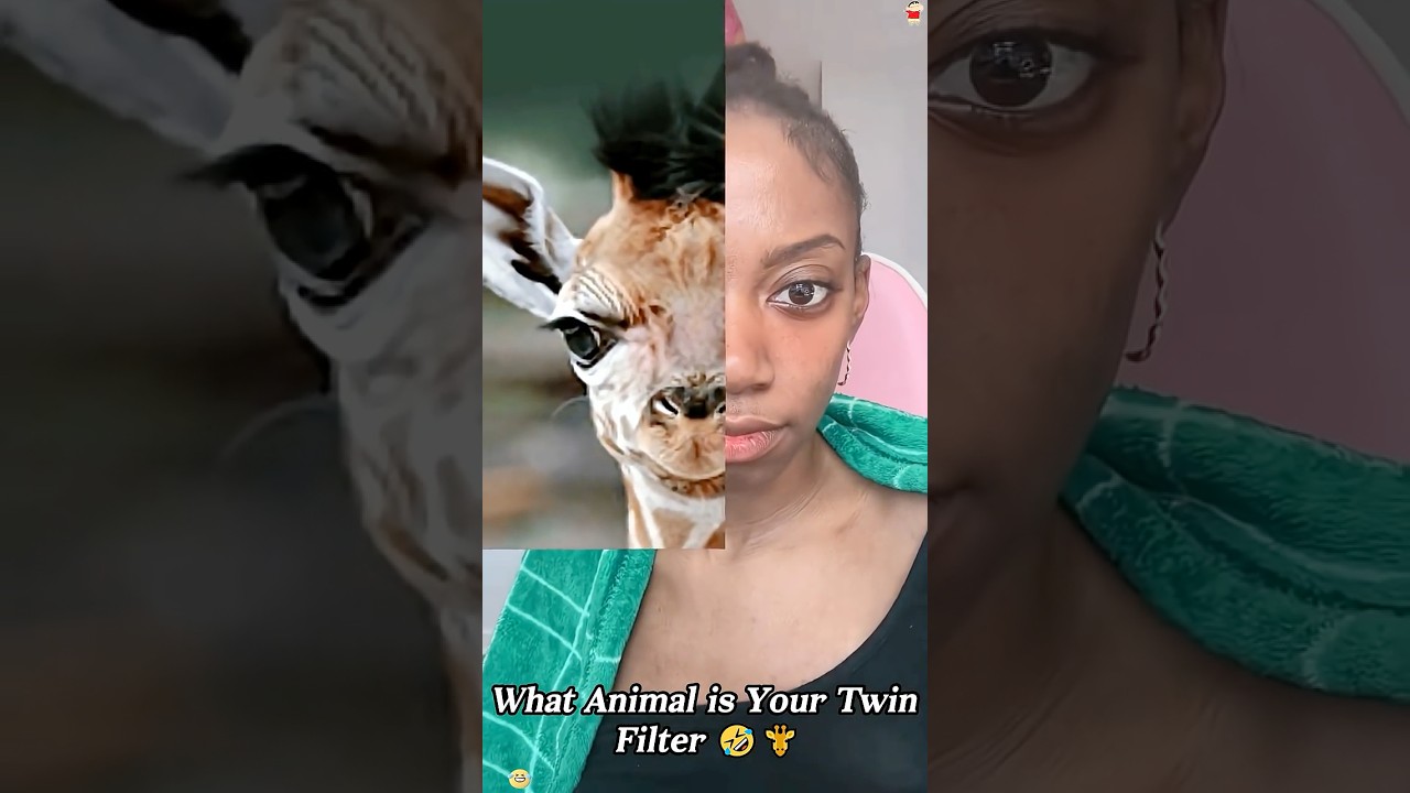 What Animal is Your Twin Filter 🤣🤣🤣 #funny #funnyvideo #fyp #filter #viral