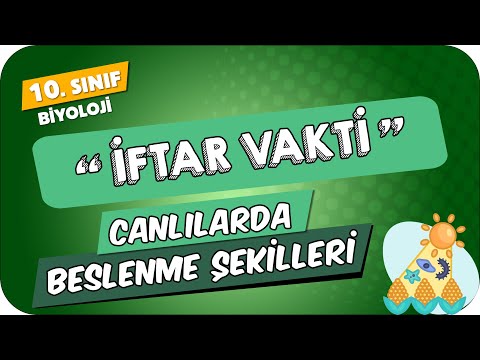 Canlılarda Beslenme Şekilleri | 10.Sınıf Biyoloji #2024