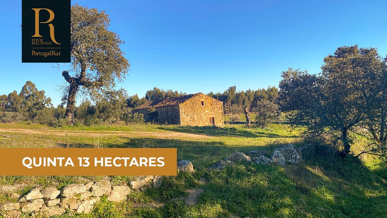 Quinta com 13 ha para venda em Castelo Branco | REF. 869-23