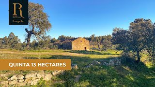 Quinta com 13 ha para venda em Castelo Branco | REF. 869-23