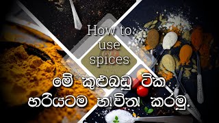 How to use spices in cooking | කුළුබඩු භාවිතය හරියටම | Vegetarian recipes Sinhala | Veggie Rasa