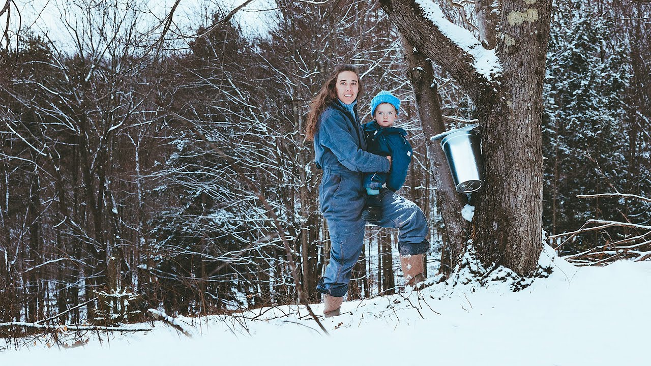 Making Maple Syrup Off Grid (start to finish)