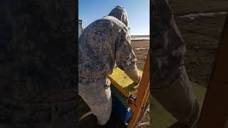Проводим весеннюю ревизию ульев! #пасека #пасекаклимовых
