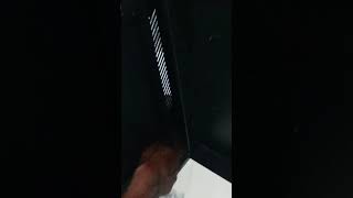 How to Setup and assembly 6U server rack Part 1