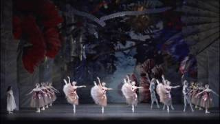 Waltz of the Flowers - Tchaikovsky